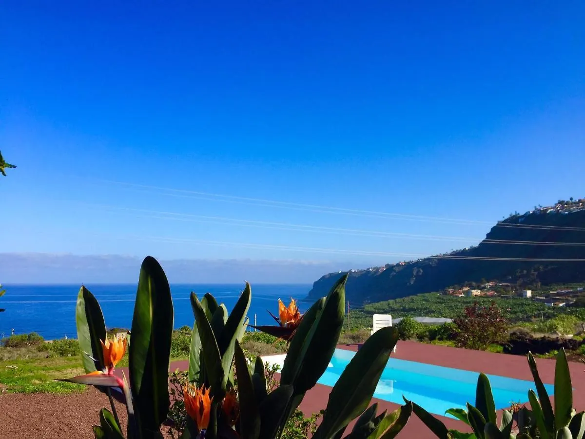 Dragos Del Mar , Espacio Natural La Orotava