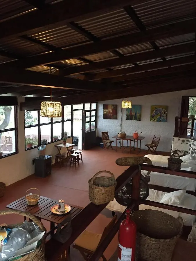 Holiday home Dragos Del Mar , Espacio Natural La Orotava Spain