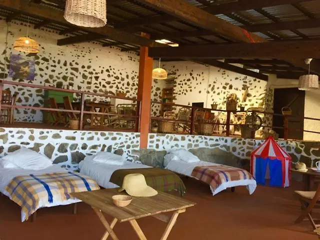 Dragos Del Mar , Espacio Natural La Orotava Spain