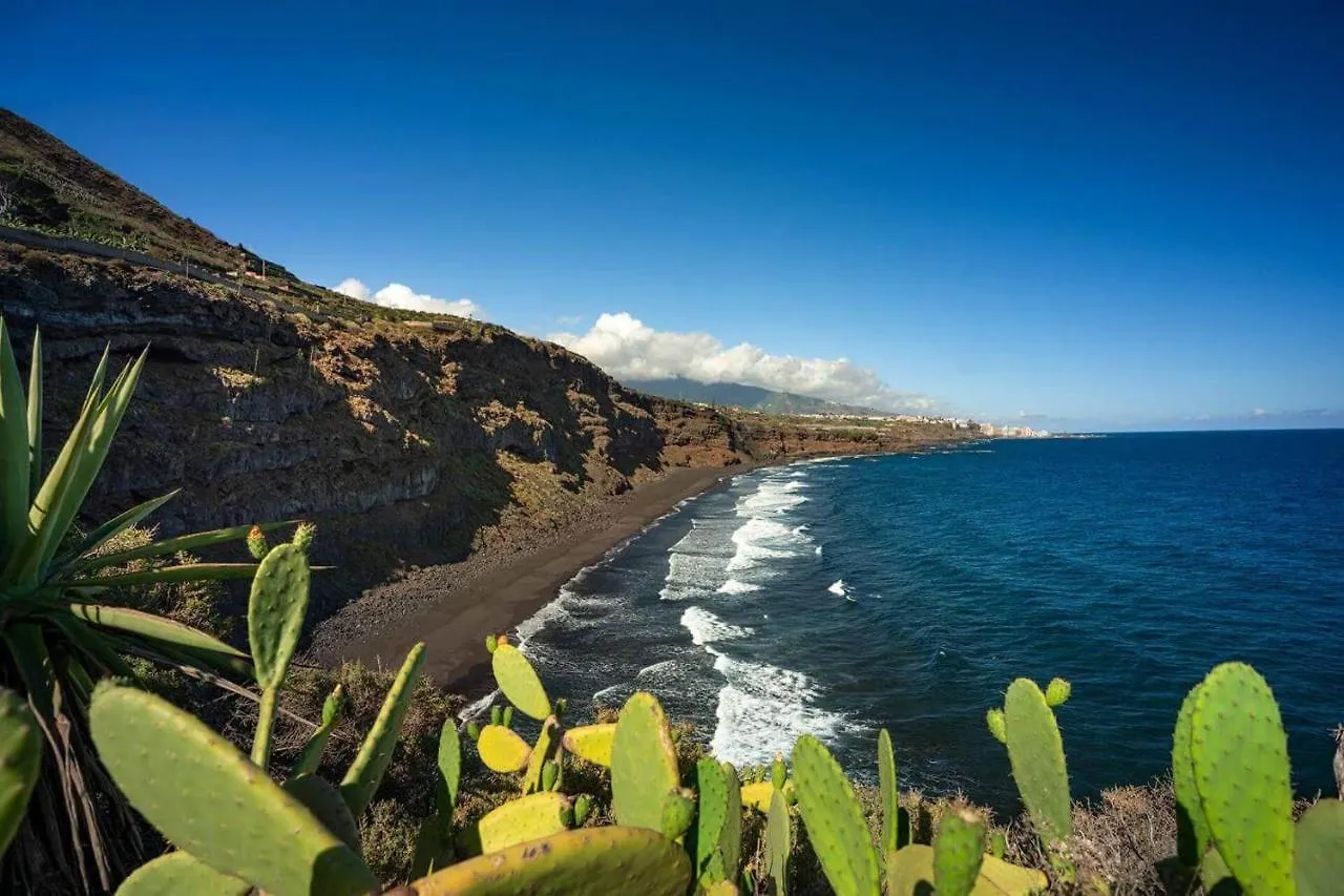 Dragos Del Mar , Espacio Natural La Orotava Spain